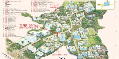 Tsinghua university campus kort